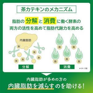 ヘルシア 緑茶 350ml 24本 スリムボトルの詳細画像3
