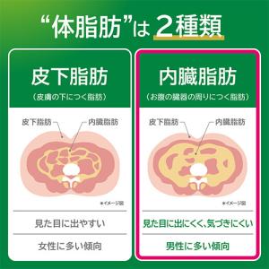 ヘルシア 緑茶 350ml 24本 スリムボトルの詳細画像4
