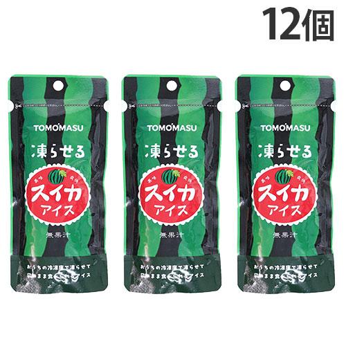友桝飲料 果実アイス スイカ 80g 12個 パウチタイプ