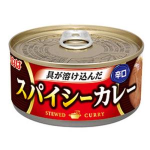 いなば食品 スパイシーカレー 辛口 165g