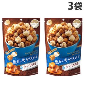 ポップコーン チョコキャラメル＆シーソルト 46g MDホールディングス 3