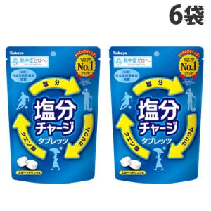 カバヤ食品 塩分チャージタブレッツ 81g（個包装込み） 6コ入り 2026