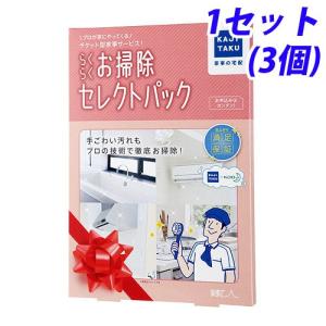 『プロのお掃除サービス』 らくらくお掃除セレクトパック 3箇所セット『送料無料（一部地域除く）』｜kilat