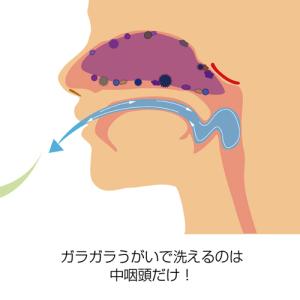 『一般医療機器』日光精器 電動鼻用洗浄器 ハナ...の詳細画像4