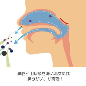 『一般医療機器』日光精器 電動鼻用洗浄器 ハナ...の詳細画像5