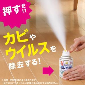 アース製薬 らくハピ お部屋の防カビ剤 カチッ...の詳細画像2
