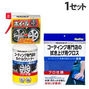 KeePer技研 KeePer コーティング専門店の鉄粉クリーナー ボディ用