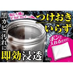 洗濯槽クリーナー 酸素系 3個 ウエルコの詳細画像3