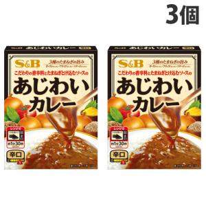 エスビー あじわいカレー 辛口 170g×3個 レトルト レトルトカレー 惣菜 ご飯 おかず カレー｜kilat