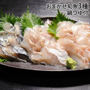 『代引不可』シーライフ 島根浜田港 おまかせ 3種の旬魚のしゃぶしゃぶ 3人前『送料無料（一部地域除く）』｜kilat