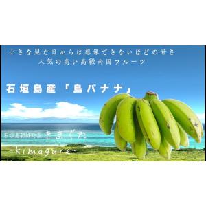石垣島産「島バナナ」