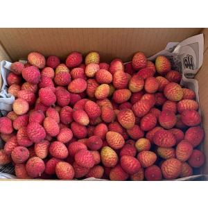 石垣島産「生ライチ」1kg