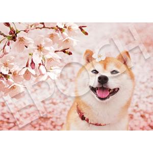 エポック社 いきものジグソーパズルの買取情報