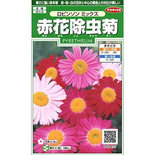 サカタのタネ 実咲花6435 赤花除虫菊 ロビンソンミックス 00906435