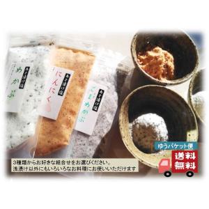 にんにく塩 100g 塩 浅漬け塩 ガーリックソルトペペロンチーノ