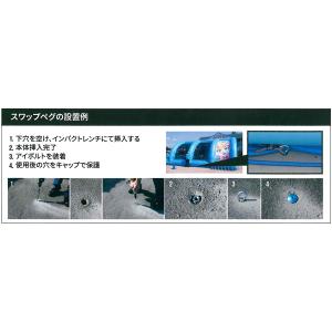 スワップペグ(ヘッド交換式) 保護キャップの詳細画像1