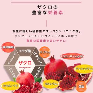 SALE ザクロコラーゲンゼリー 4箱+2本 ...の詳細画像5