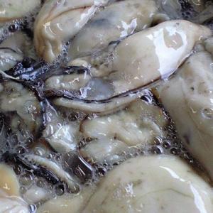 海鮮入 ポッサムキムチ ホタテ貝柱 500g ...の詳細画像2