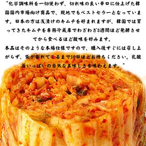 送料無料 乳酸菌を味わう 辛口 無添加 白菜キ...の詳細画像1