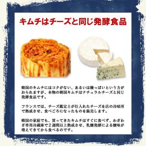 送料無料 乳酸菌を味わう 辛口 無添加 白菜キ...の詳細画像3
