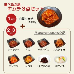 選べる2品 キムチ3点セット 白菜キムチ500...の詳細画像1