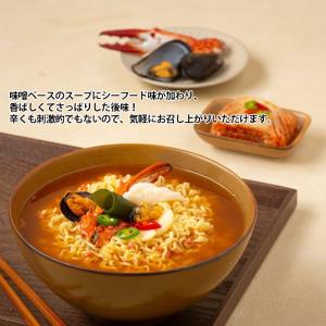 韓国版 海鮮 安城湯麺 10袋 韓国 農心 イ...の詳細画像2