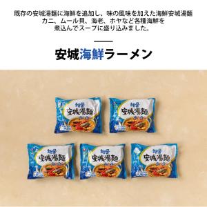 韓国版 海鮮 安城湯麺 10袋 韓国 農心 イ...の詳細画像3