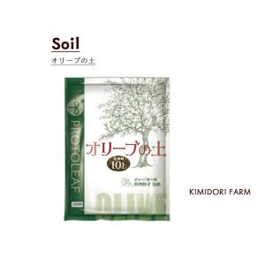 オリーブの土 10L アルカリ 川砂 オリーブ専門 研究 植物 植え替え 庭づくり 鉢植え オリーブの木 植木 庭木 シンボルツリー｜kimidori-onlineshop