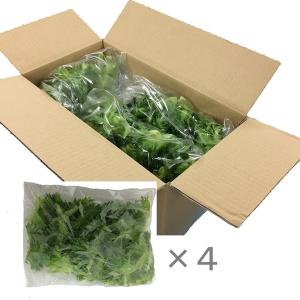 【梱包100サイズ・2kg】業務用フリルレタス...の詳細画像1