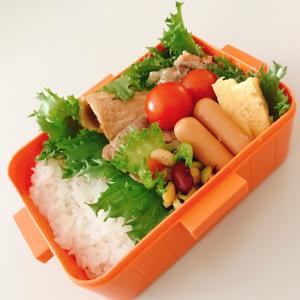 【梱包100サイズ・2kg】業務用フリルレタス...の詳細画像2