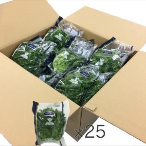【栽培時無農薬】フリルレタス（株、25個セット)、フリルアイス