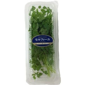 セルフィーユ/チャービル（約10ｇ）