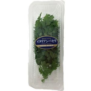 イタリアンパセリ（約10ｇ）