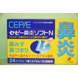 セピー鼻炎ソフトＮ　（第(2)類医薬品） 使用期限：発送日より半年以上｜kimijima-yakkyoku