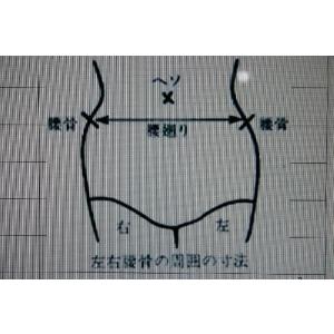 スチール　脱腸帯　7号左（腰周り76〜88ｃｍ）｜kimijima-yakkyoku