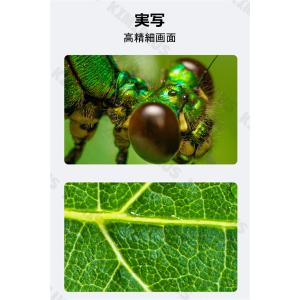 顕微鏡 50~1600倍 電子顕微鏡 写真/録...の詳細画像4