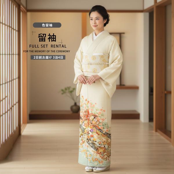 JAPAN STYLE レンタル商品 色留袖 フルセット ジャパンスタイル 薄黄 クリーム 梅 熨斗