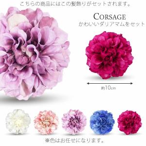 JILLSTUART ブランド 七五三 レンタ...の詳細画像4