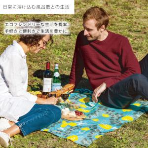 「むす美」 撥水ふろしき aquadrop 撥...の詳細画像4