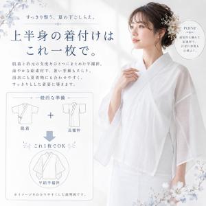 半襦袢 夏用 うそつき襦袢 洗える 綿100%...の詳細画像3