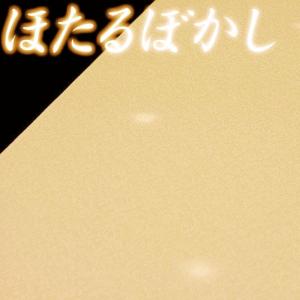 在庫処分 小紋 ぼかし染 ホタル 蛍ぼかし 黄色 水玉 京友禅