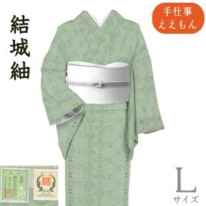 着物だいやす 511□薄羽織□紋紗 小松ちりめん ぼかし縞文 紺青色 