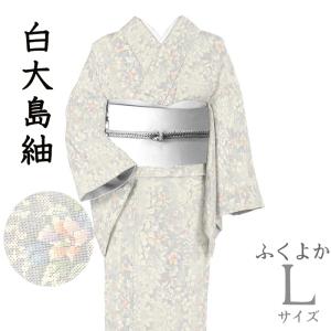 【送料無料】531■本場大島紬■白大島　草花文　7マルキ　肩身丈：166.5cm 裄：69cm 身長サイズ：L【中古】【着物だいやす】