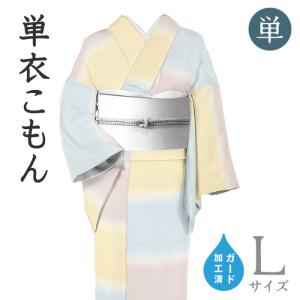平和屋着物＊夏物　小紋　蜘蛛の巣　洗える着物　AABF6850jd 平和屋着物＊夏物 小紋 蜘蛛の巣 洗える着物 AABF6850jd : 平和屋
