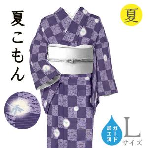 着物だいやす 046□江戸小紋□単衣 丹後ちりめん 霰小紋 大小あられ 藤