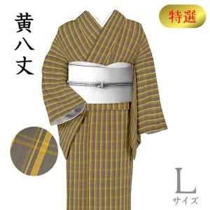 紬 身丈165cm 裄64cm レディース 袷 格子 裄Mサイズ 秋冬春用 正絹