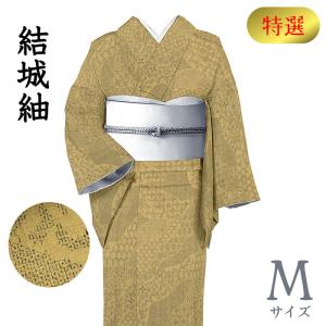 平和屋着物●結城紬　100亀甲　飛び亀甲　枝花丸文　黒紅色地　正絹　逸品　AABI2519cs 平和屋着物○結城紬 100亀甲 飛び亀甲 枝花丸文 黒紅色地 正絹 逸品