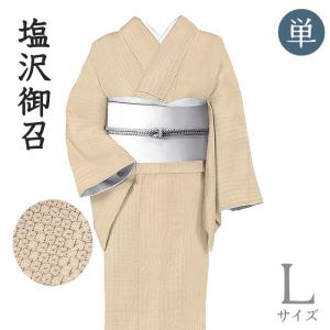 着物だいやす 913□塩沢御召□単衣 本塩沢 蚊絣 十字絣 青墨色 身長