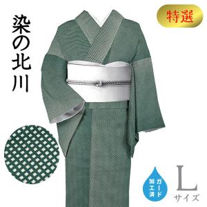 着物だいやす 046□江戸小紋□単衣 丹後ちりめん 霰小紋 大小あられ 藤