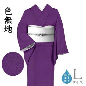 着物だいやす 845□色無地□一越ちりめん 当店オリジナルカラー お茶席 
